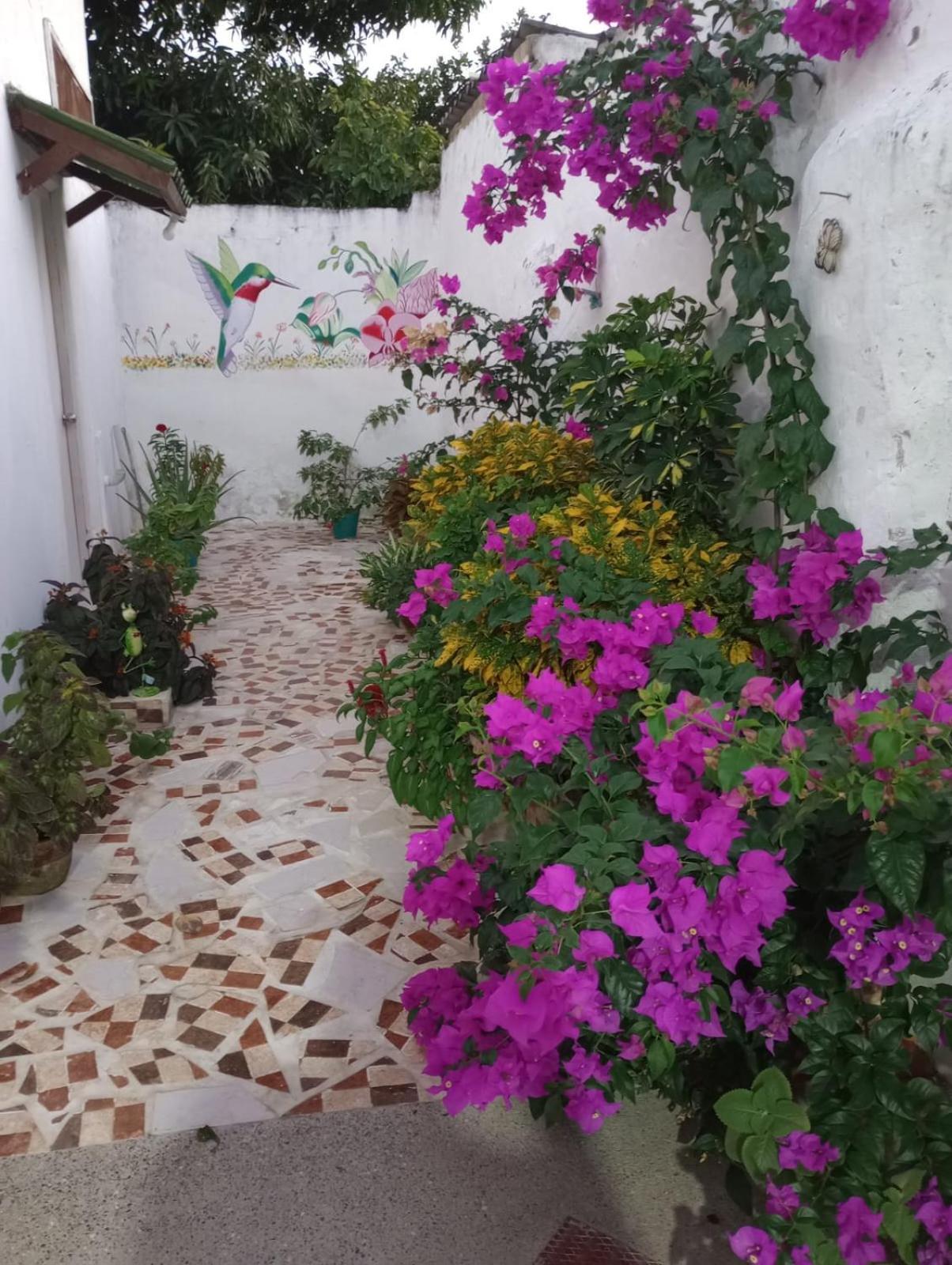 Hospedaje Casa Pachi En Cartagena De Indias 외부 사진